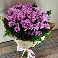 Букет цветов из:  Хризантемы #REPLACE_PRED# Лунино